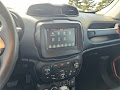 2020 Jeep Renegade Sport