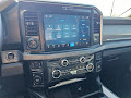 2025 Ford F-250SD Platinum
